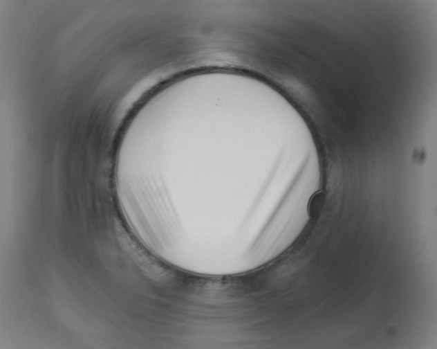X0000112981326200910081101