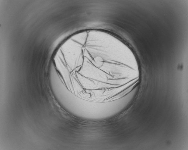 X0000112981328200910081101