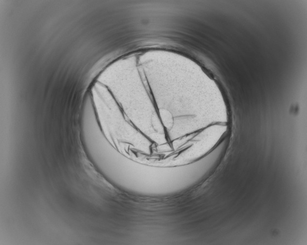 X0000112981330200910081101