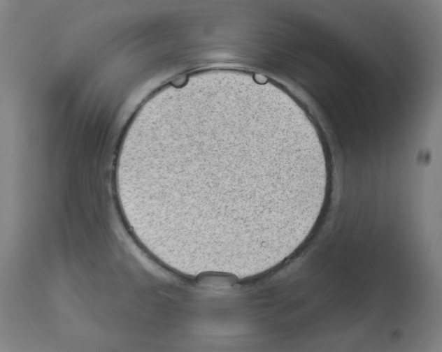 X0000112981333200910081101