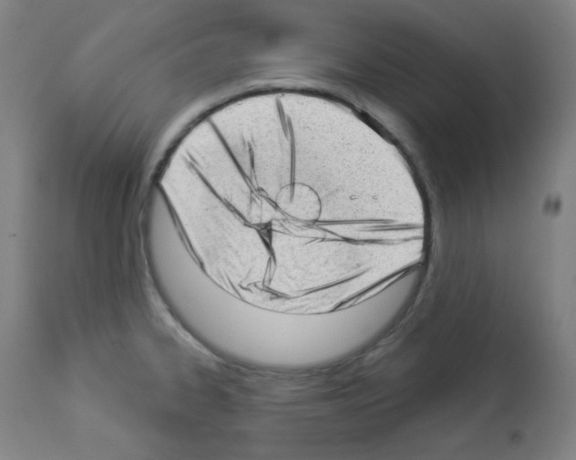 X0000112981334200910081101