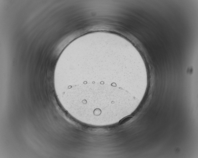 X0000112981337200910081101