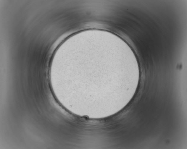 X0000112981339200910081101