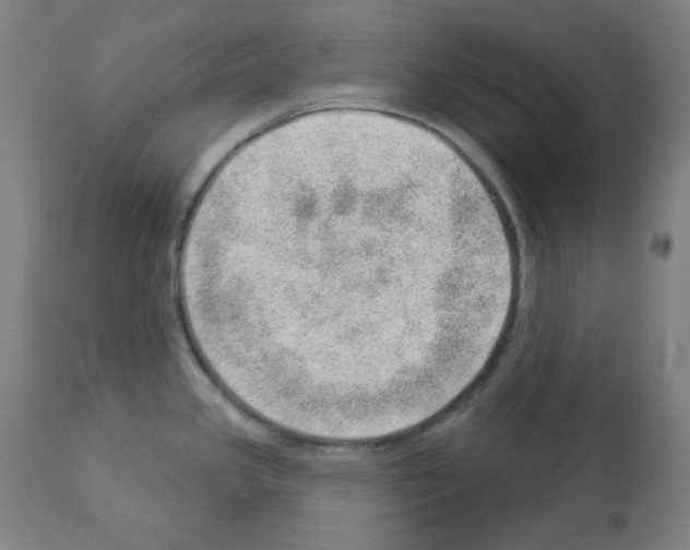 X0000112981341200910081101