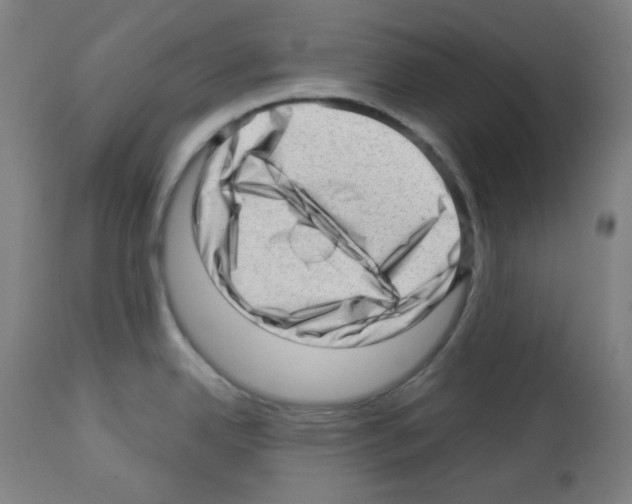 X0000112981342200910081101