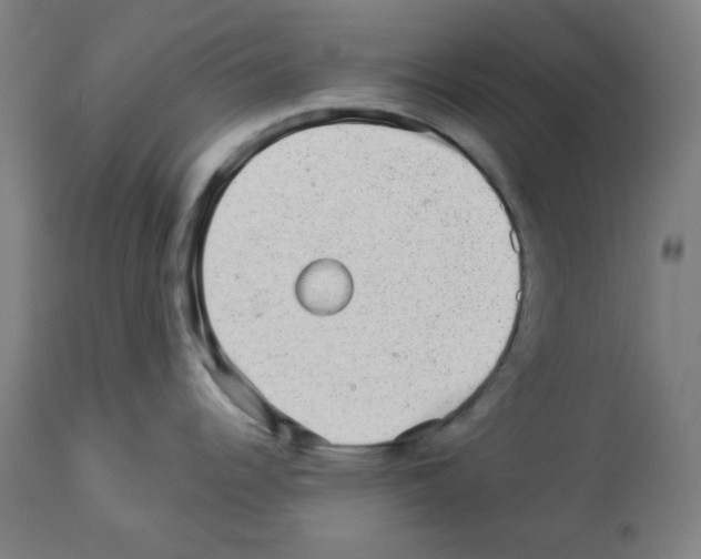 X0000112981344200910081101