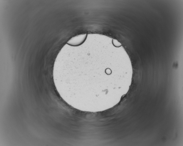 X0000112981345200910081100