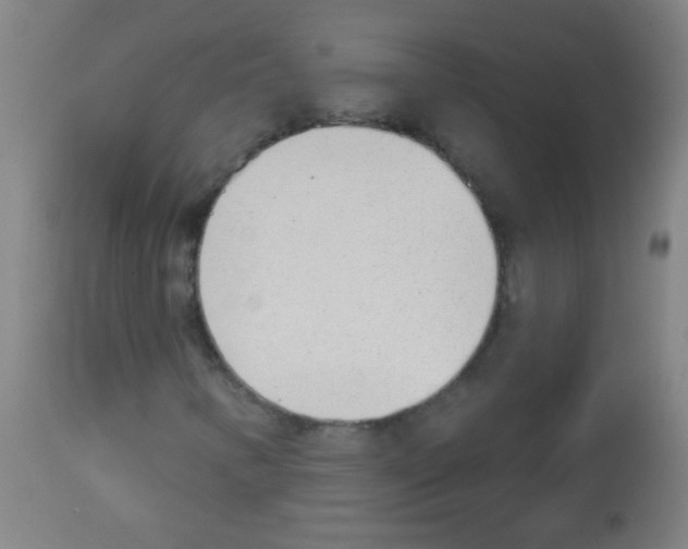 X0000112981346200910081100