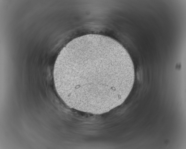 X0000112981347200910081100