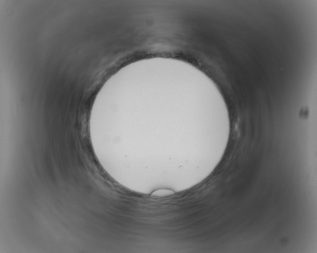 X0000112981348200910081100