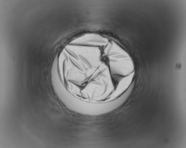 X0000112981349200910081100