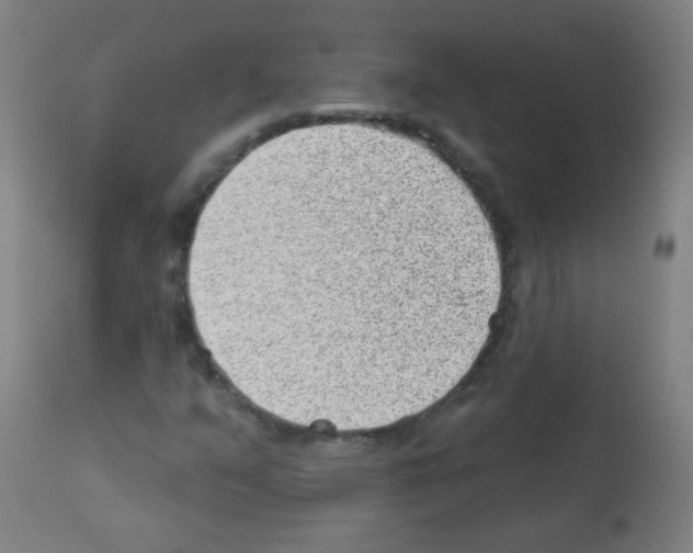 X0000112981351200910081100