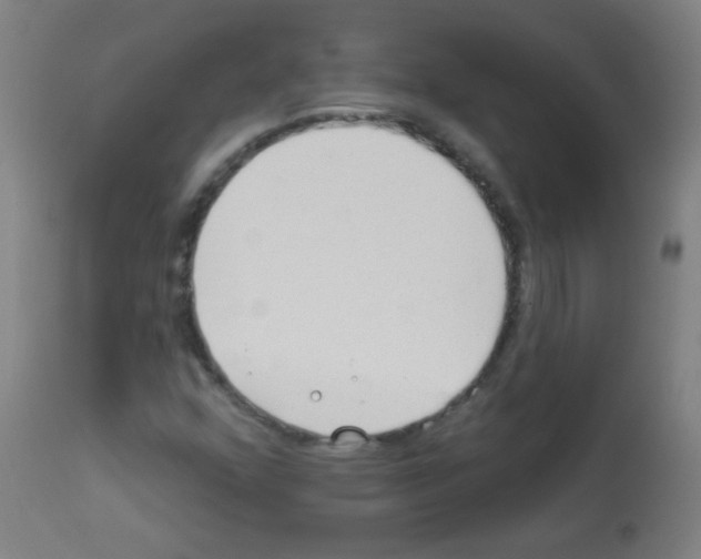 X0000112981352200910081100