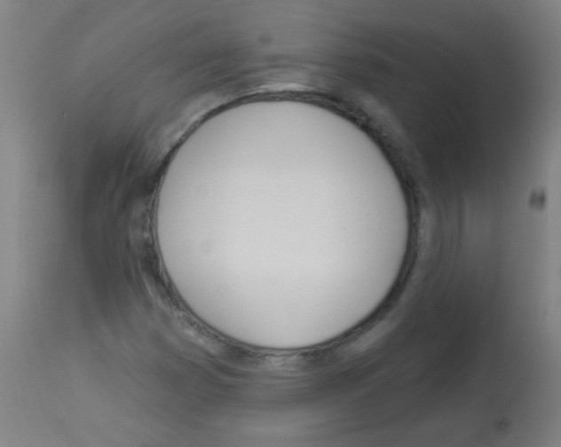 X0000112981353200910081100