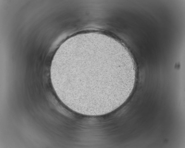 X0000112981355200910081100