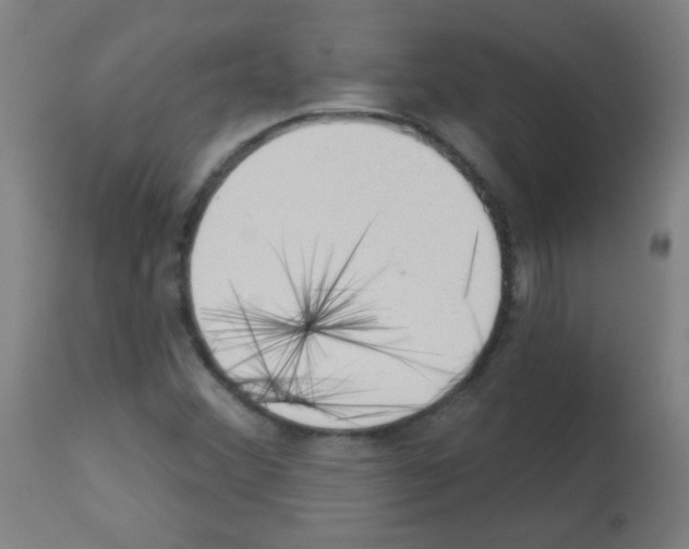 X0000112981356200910081100
