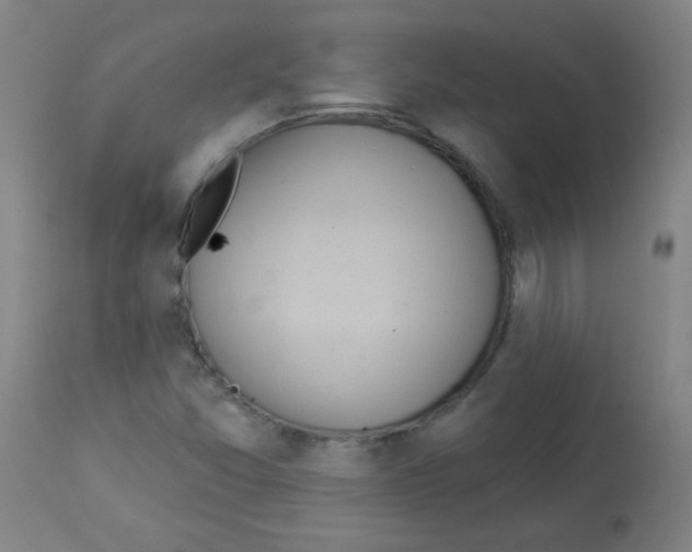 X0000112981357200910081100