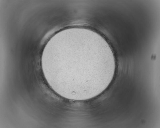 X0000112981358200910081100