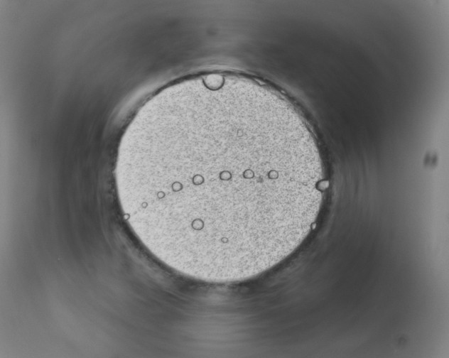 X0000112981359200910081100