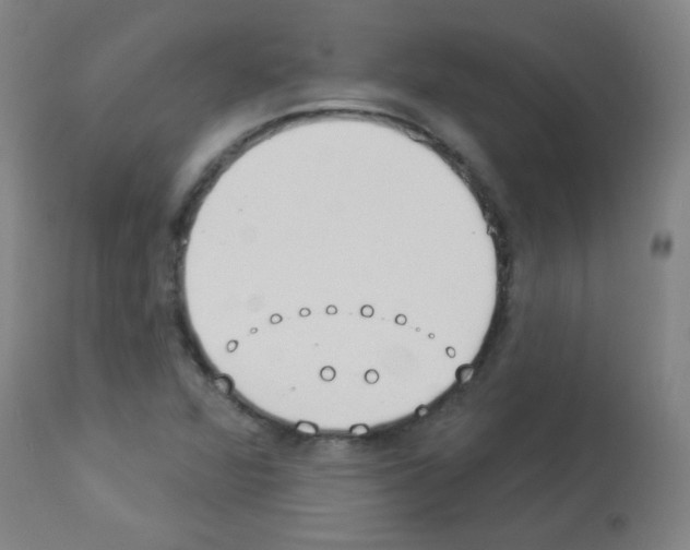 X0000112981360200910081100
