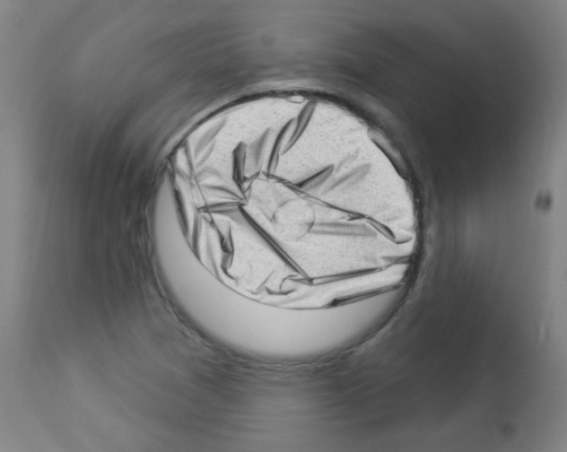 X0000112981361200910081100