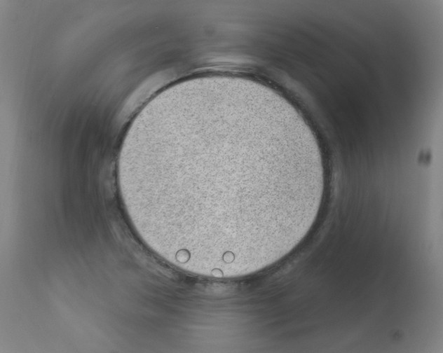 X0000112981362200910081100
