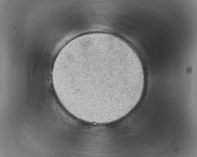 X0000112981363200910081100