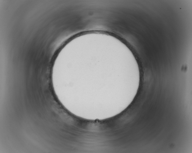 X0000112981364200910081100