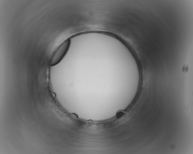 X0000112981365200910081100
