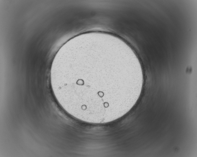 X0000112981367200910081100