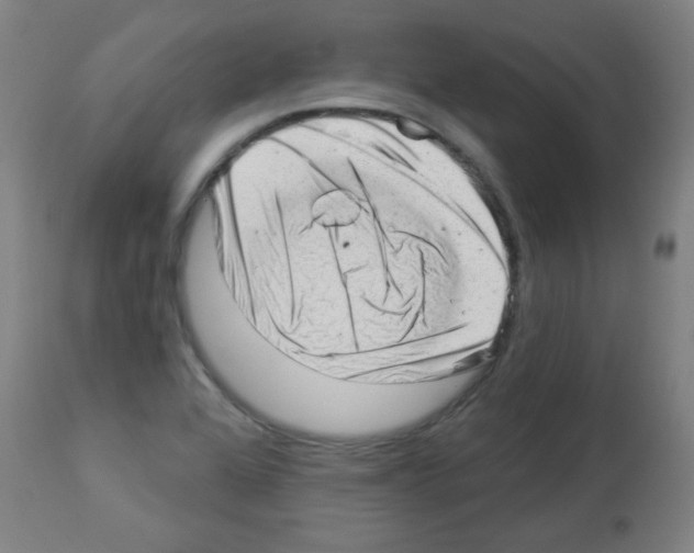 X0000112981368200910081100