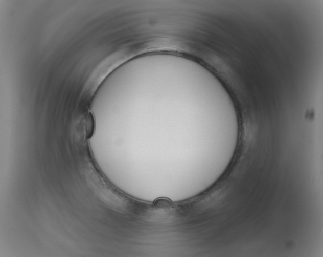 X0000112981369200910081100