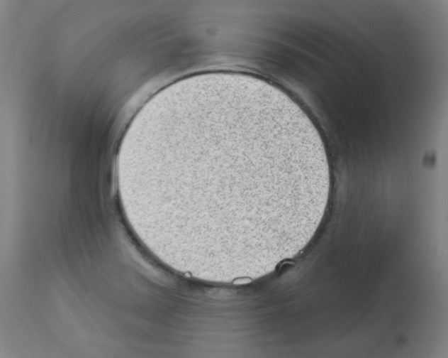X0000112981371200910081100