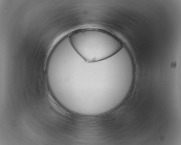 X0000112981372200910081100