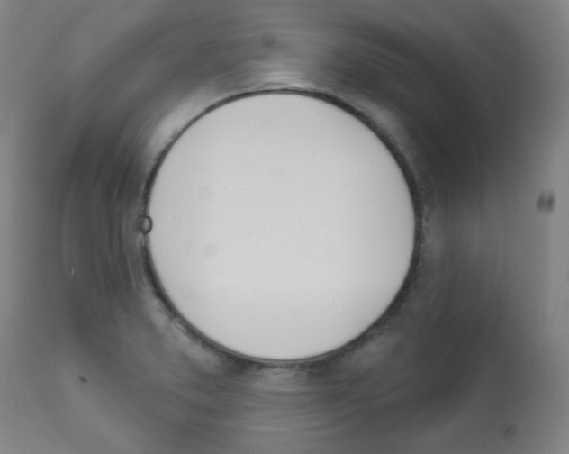 X0000112981373200910081100