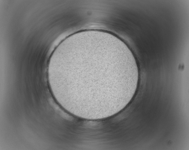 X0000112981374200910081100