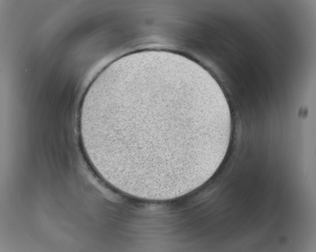 X0000112981375200910081100
