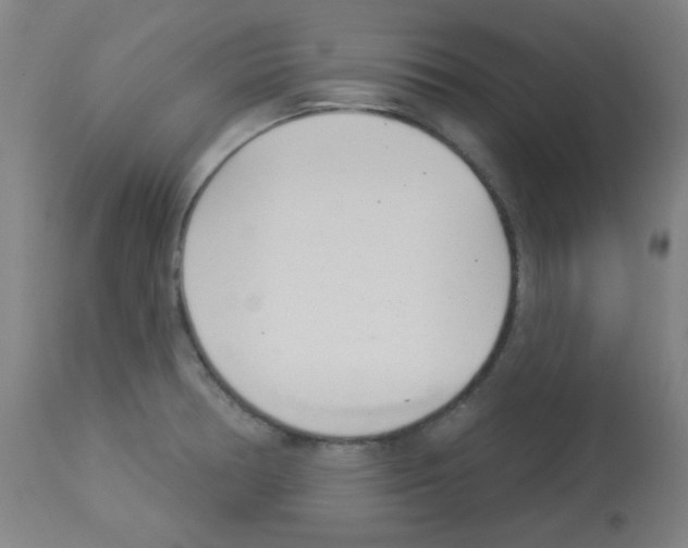 X0000112981378200910081100