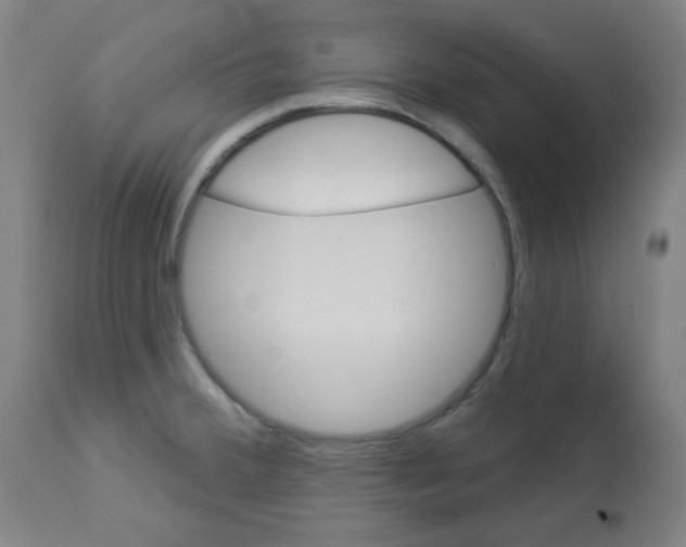 X0000112981380200910081100