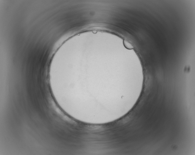 X0000112981382200910081100
