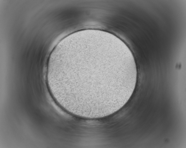 X0000112981383200910081100
