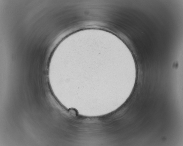 X0000112981384200910081100