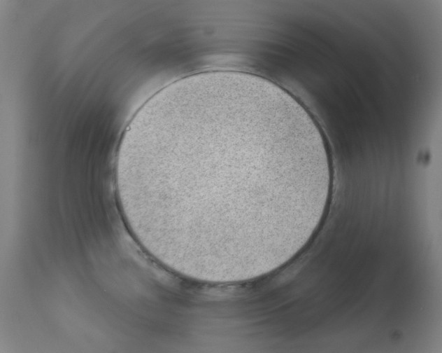 X0000112981386200910081059
