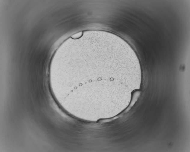 X0000112981387200910081059