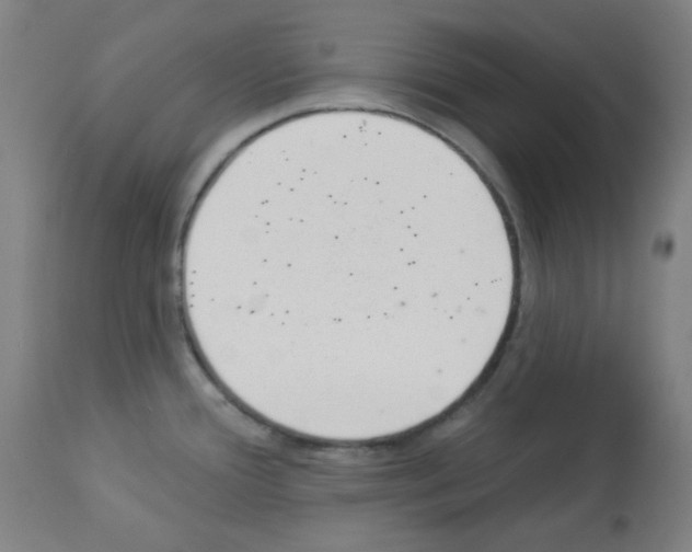 X0000112981388200910081059