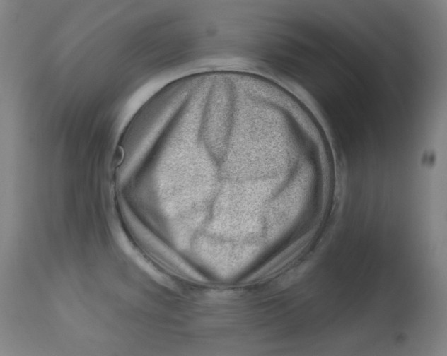 X0000112981389200910081059