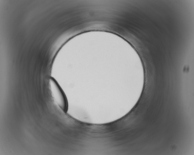 X0000112981392200910081059