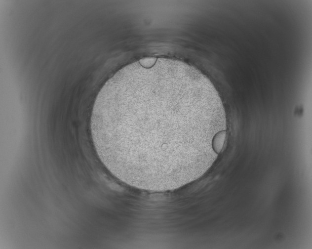 X0000112981393200910081059
