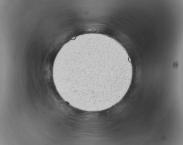 X0000112981394200910081059