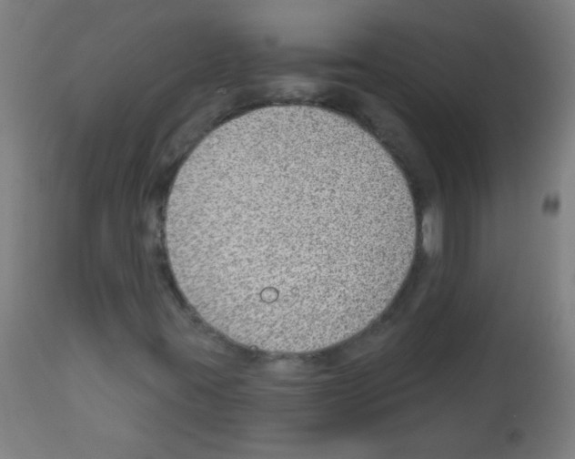 X0000112981395200910081059